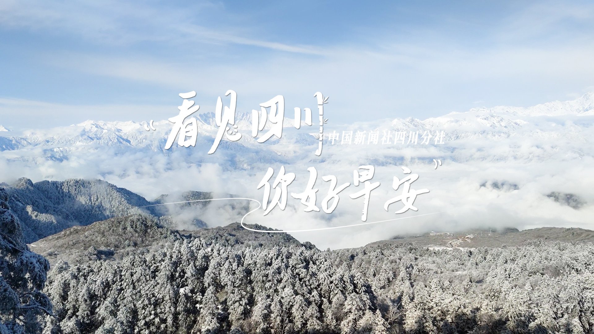 广元市朝天区沙河镇樱花谷上万亩樱桃花