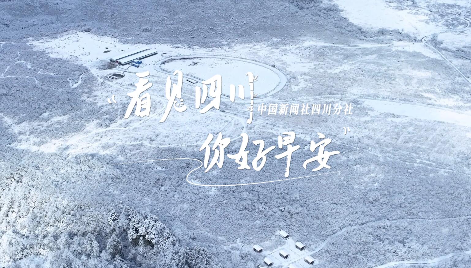 列车与盛放的油菜花构成一幅灵动的春日