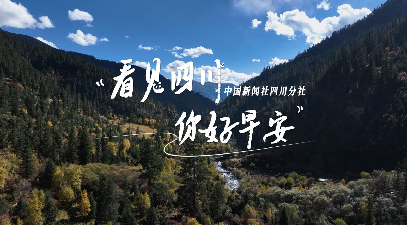 解说自贡灯会开启超长待机