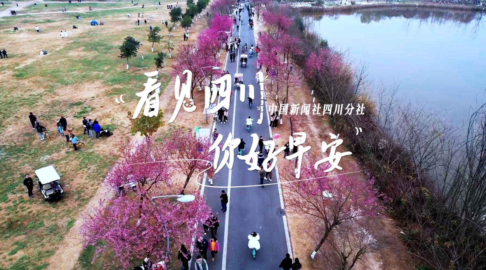 青石板路与古宅院落尽显温润春意