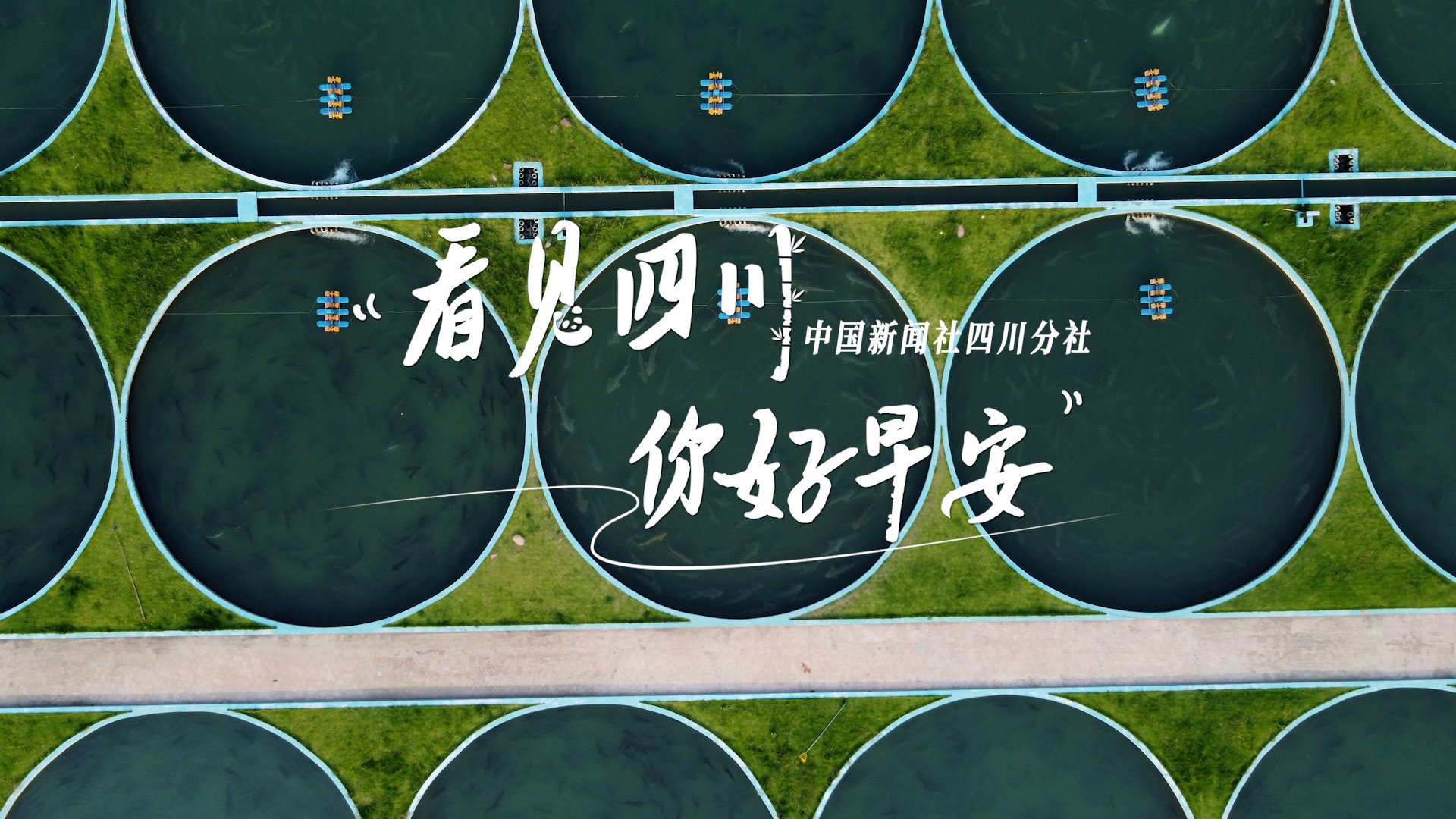 解说你看