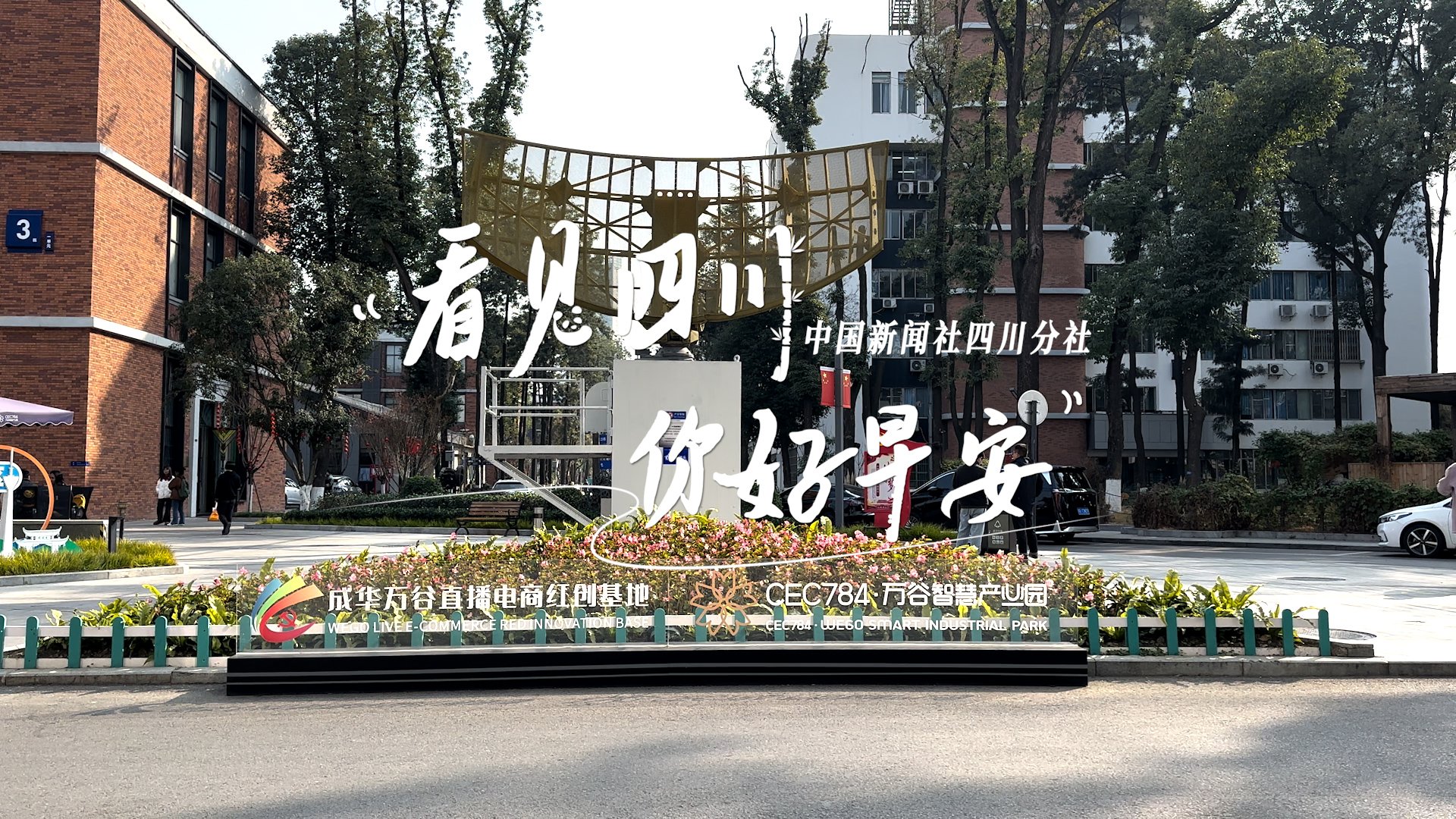 金山村温室大棚里黑褐饱满的羊肚菌破土
