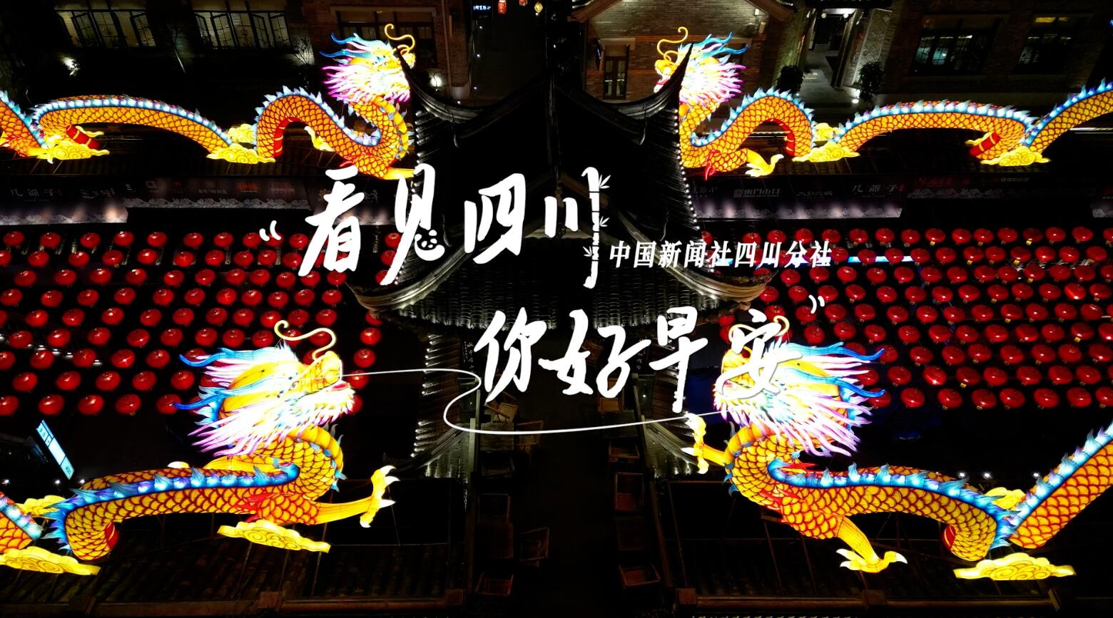 解说平武报恩寺百年玉兰迎来盛花期