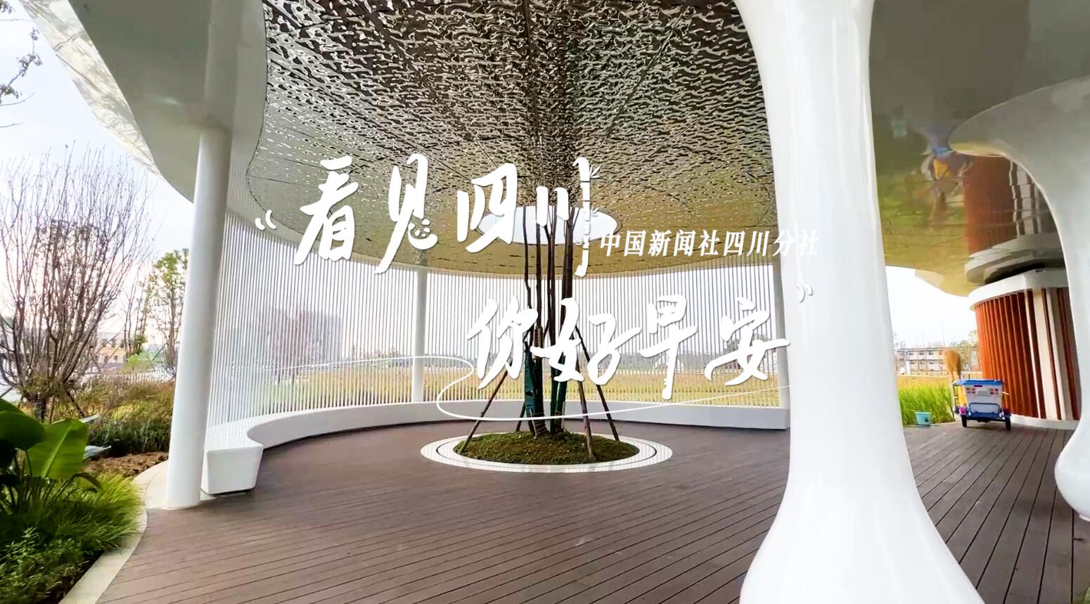 盈盈彩app官网
