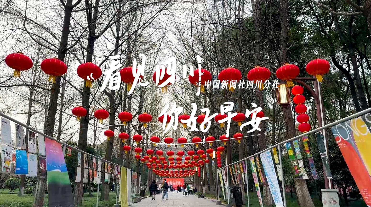 一芽一芽往外窜