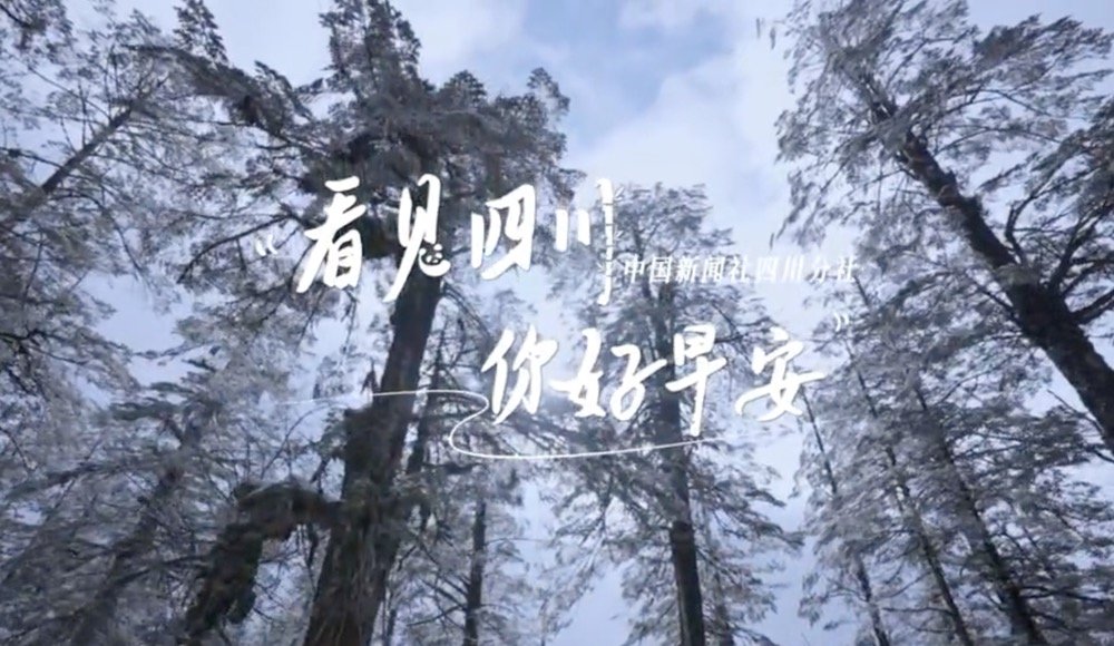 持续开放至第二季度