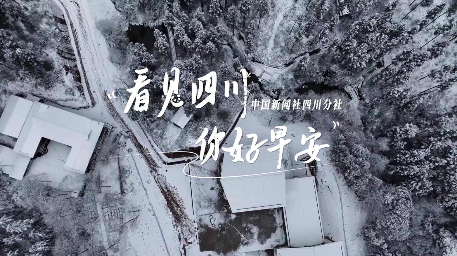 一串串花朵如风铃般相依相偎
