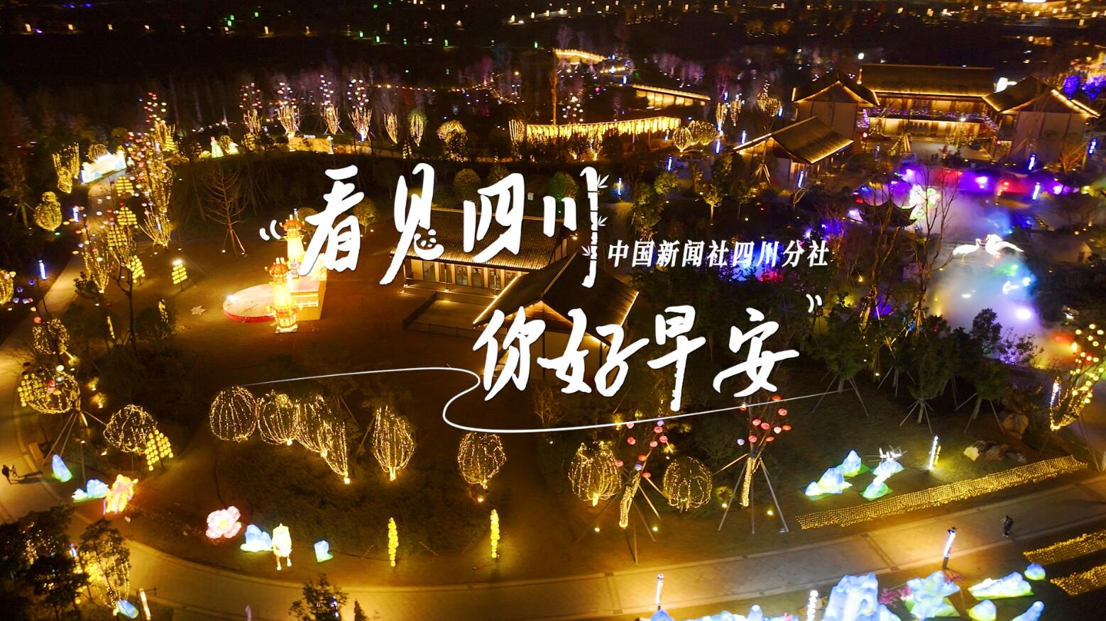 粉白花朵绽放在古寺院落