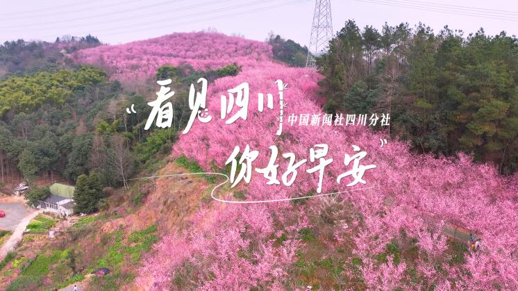 青石板路与古宅院落尽显温润春意