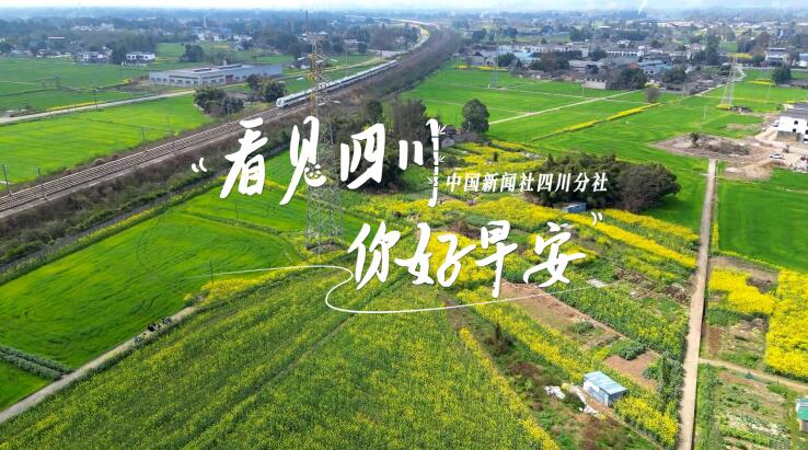 解说你看