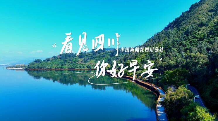 金山村温室大棚里黑褐饱满的羊肚菌破土
