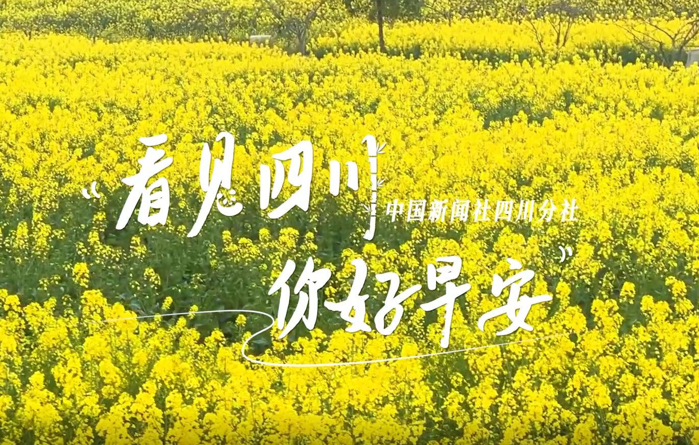 继续了解看见盈盈彩app下载限时优惠