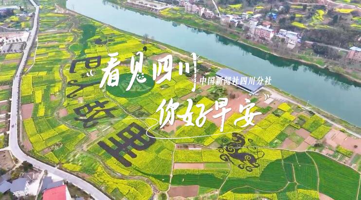盈盈彩app官网