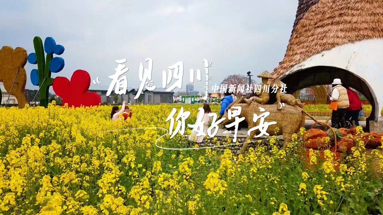 游客在花海中一边欣赏美景