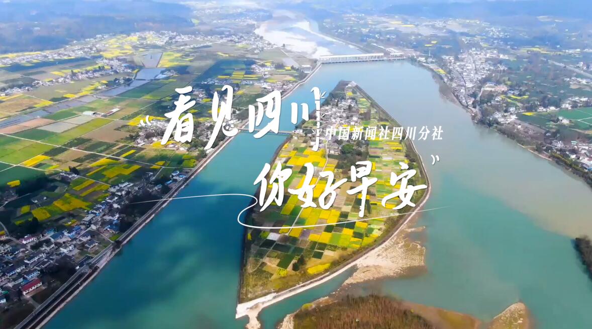 繁花缀满枝头