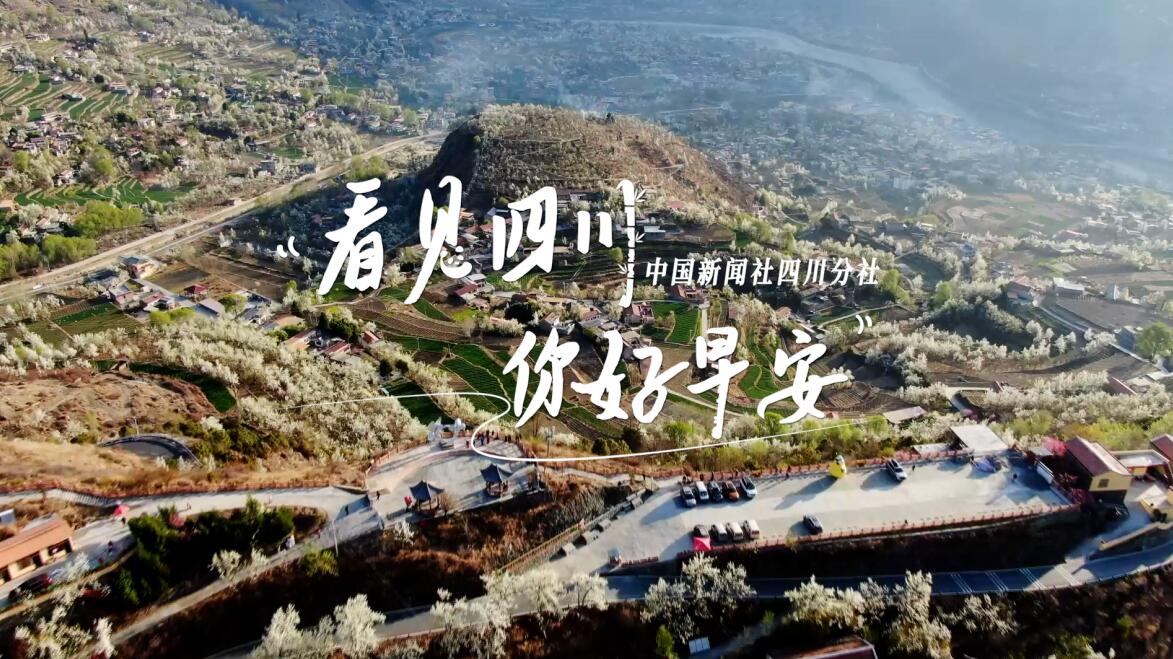 不少游客慕名前来乘坐和踏青赏花