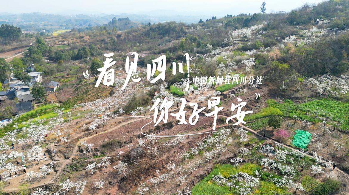 被誉为开往春天的嘉阳蒸汽小火车穿行在