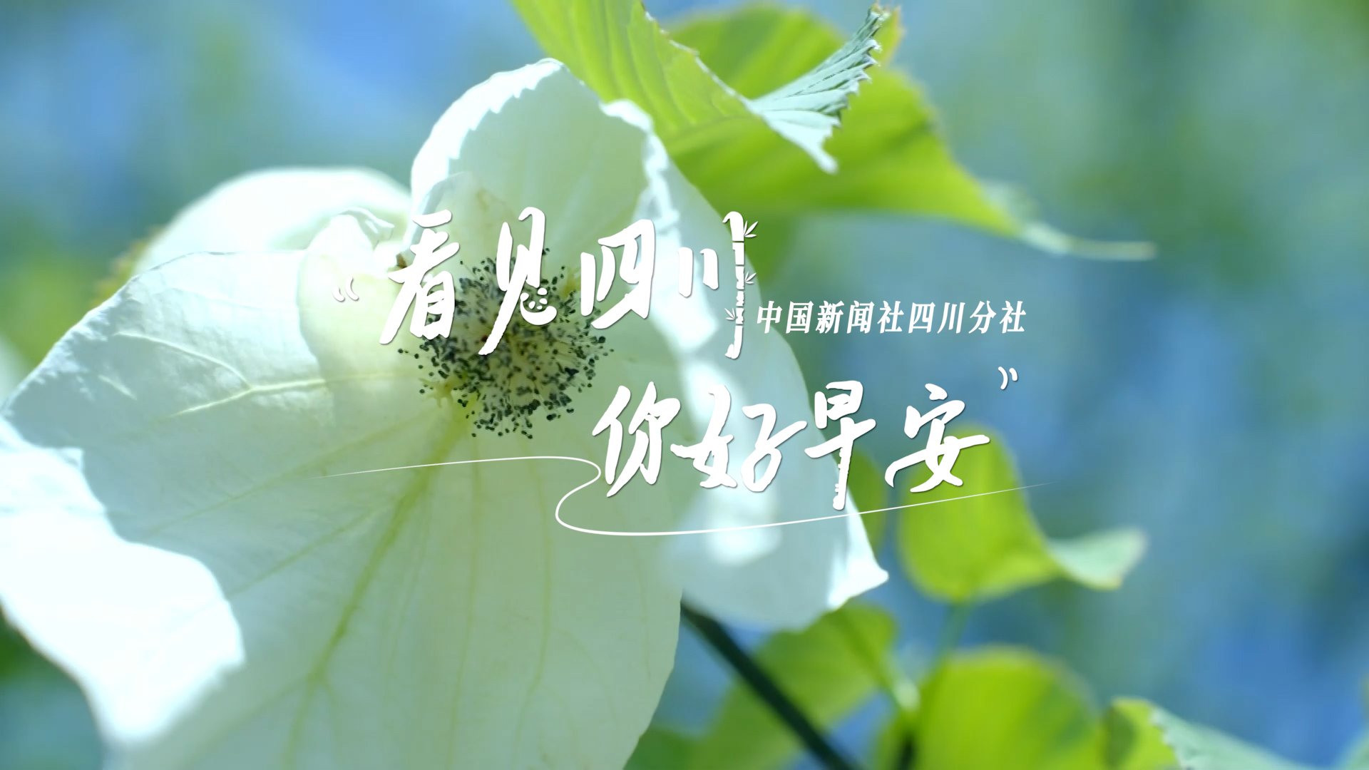 持续开放至第二季度