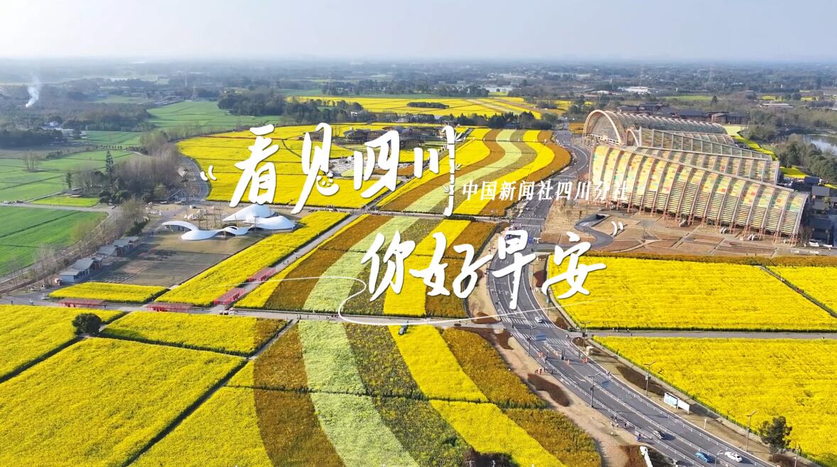 位于盈盈彩app下载限时优惠市红星桥