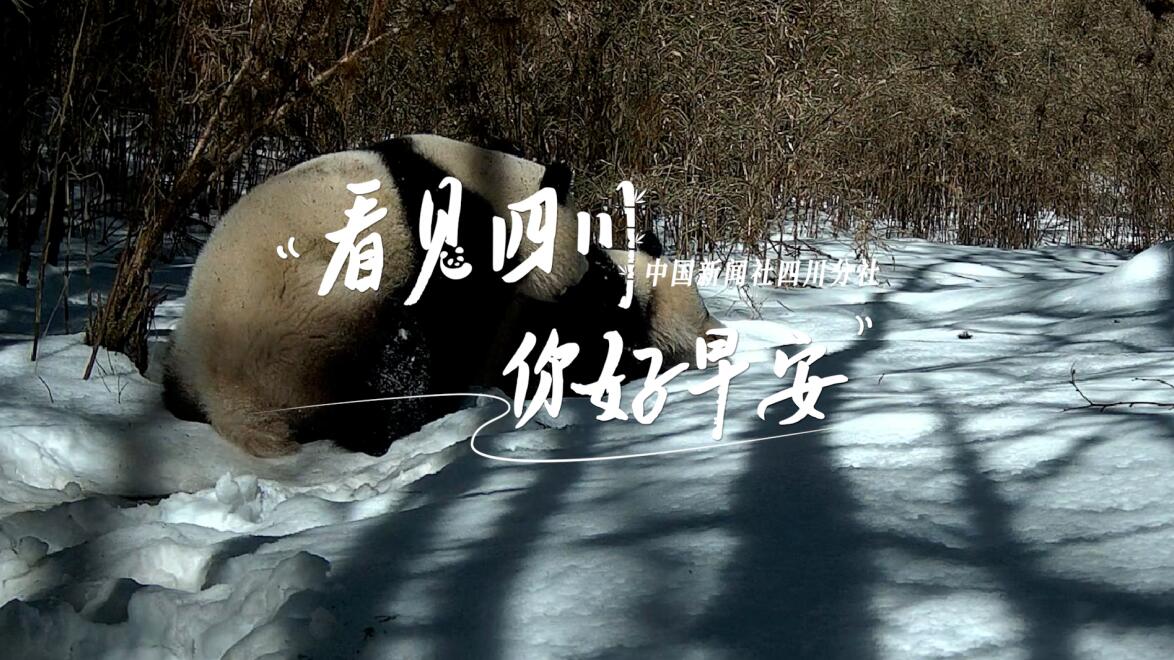 相关阅读看见盈盈彩app下载限时优惠
