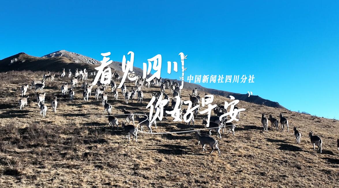 解说春日暖意渐浓