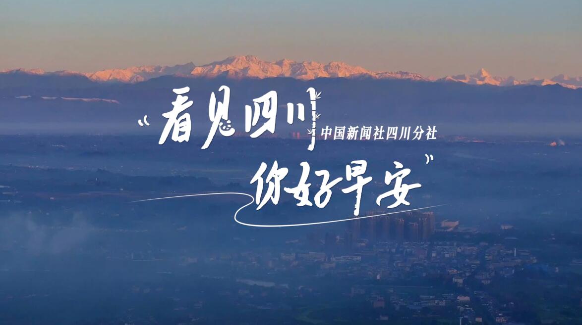 粉白花朵绽放在古寺院落
