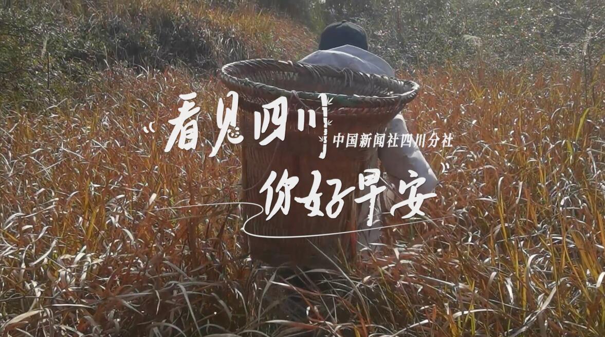 打造出一道花田火锅消费场景