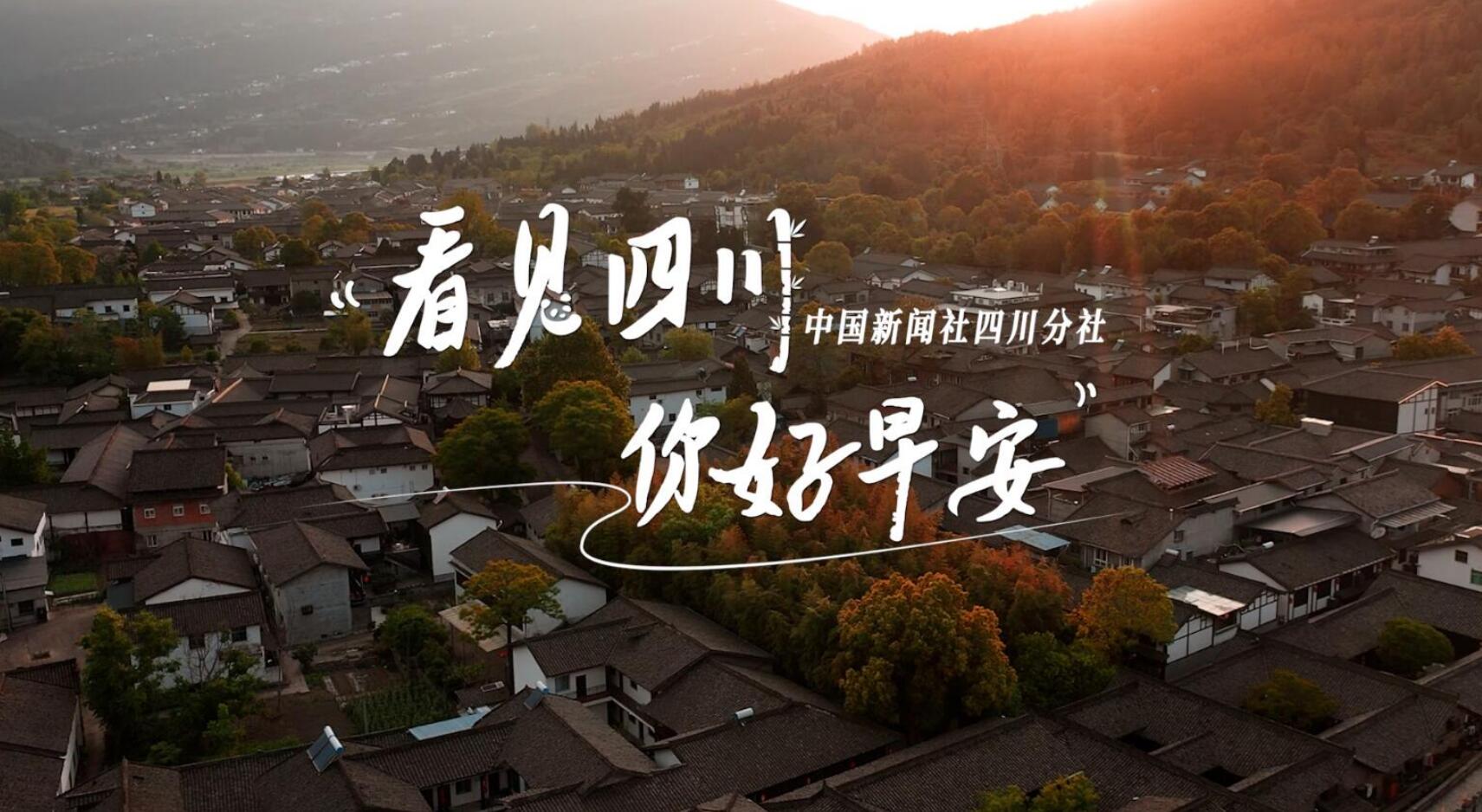 满足游客赏灯游玩的需求