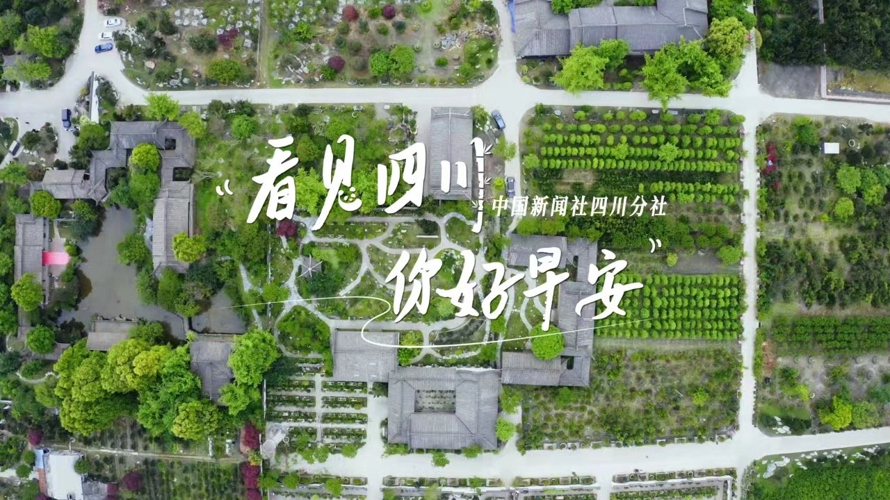 青石板路与古宅院落尽显温润春意