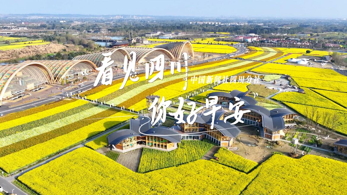 与锦绣天府电视塔的现代剪影相映成趣