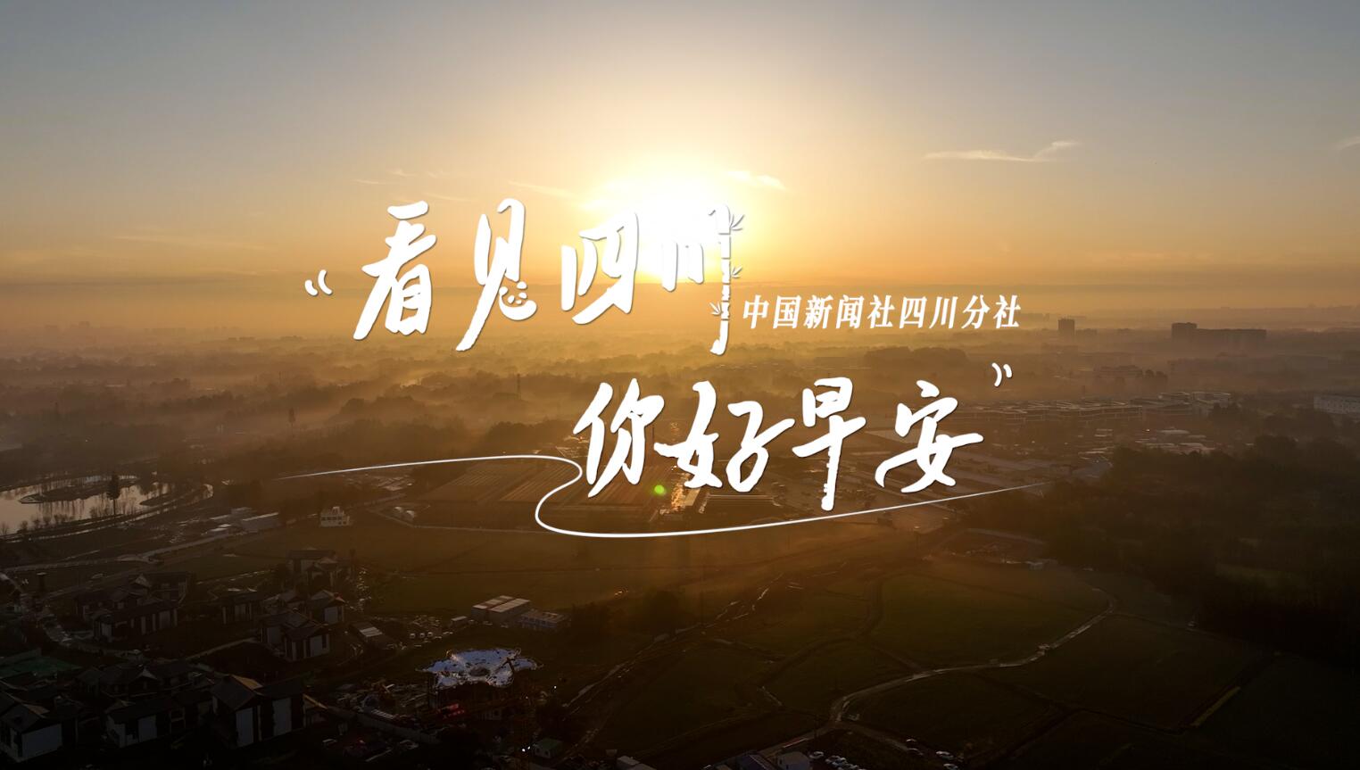 高大的泡桐树缀满钟形花冠