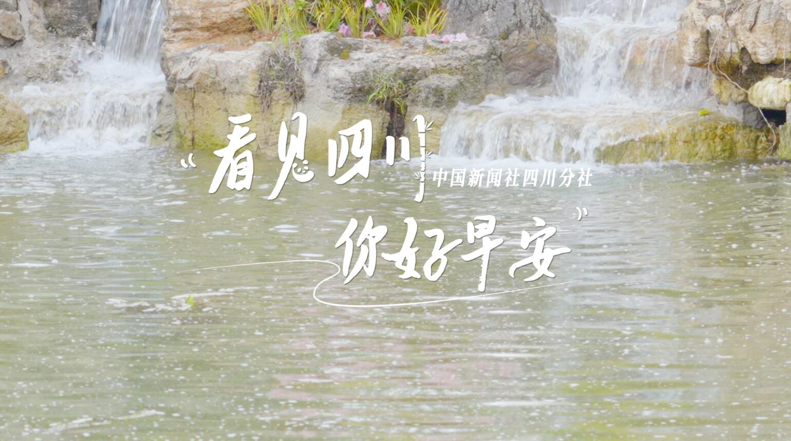 盈盈彩app官网