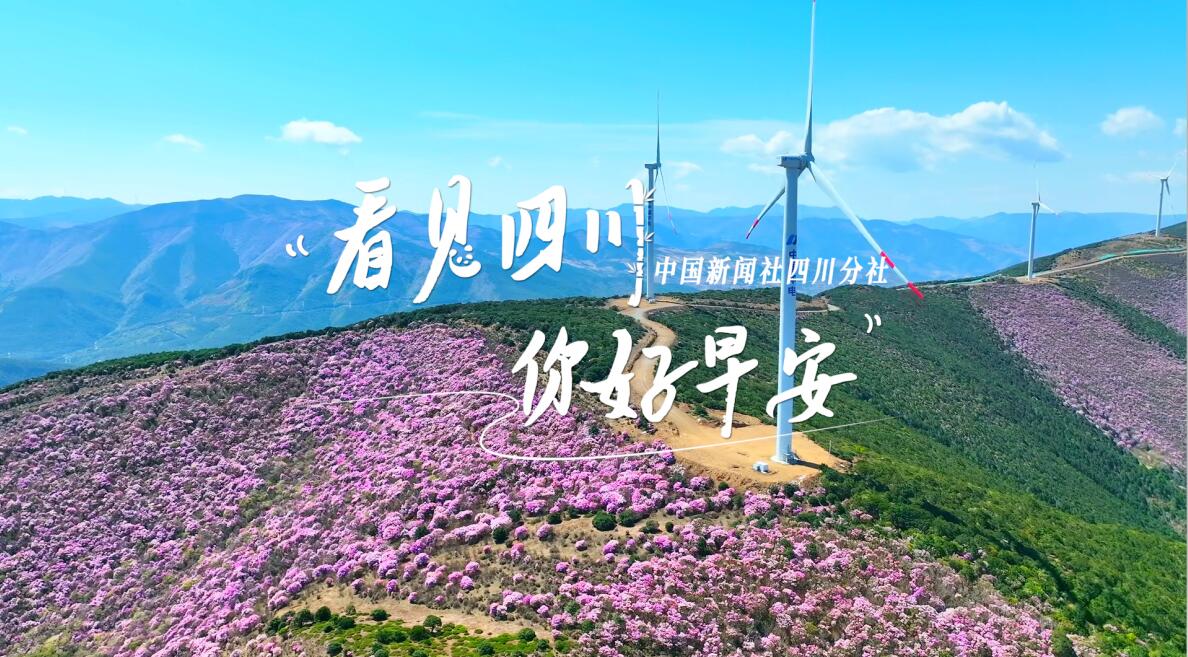 一芽一芽往外窜