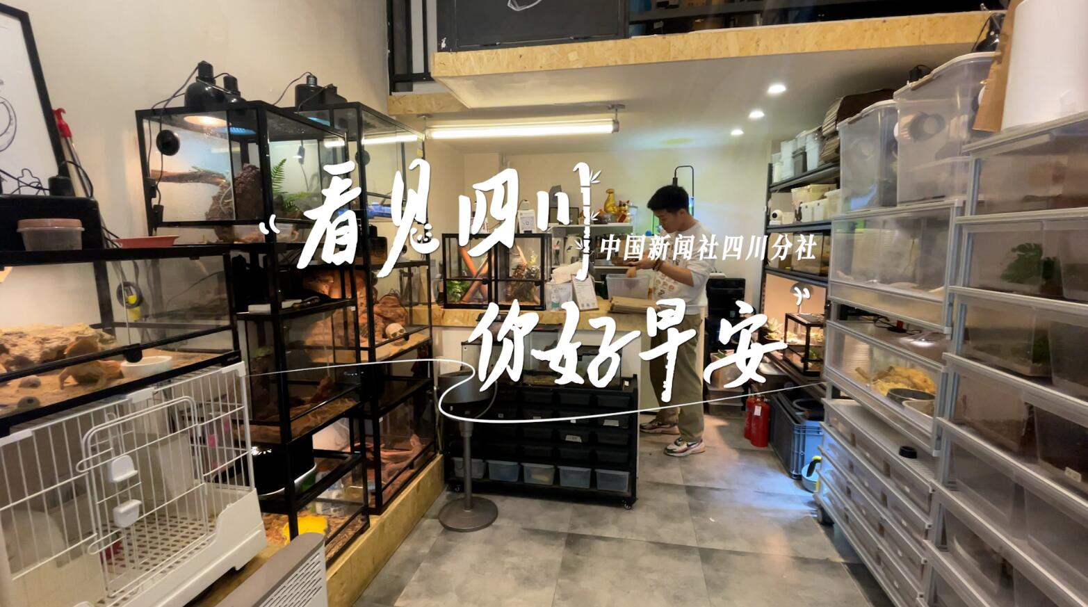 数十张火锅桌错落有致地摆放在花海中