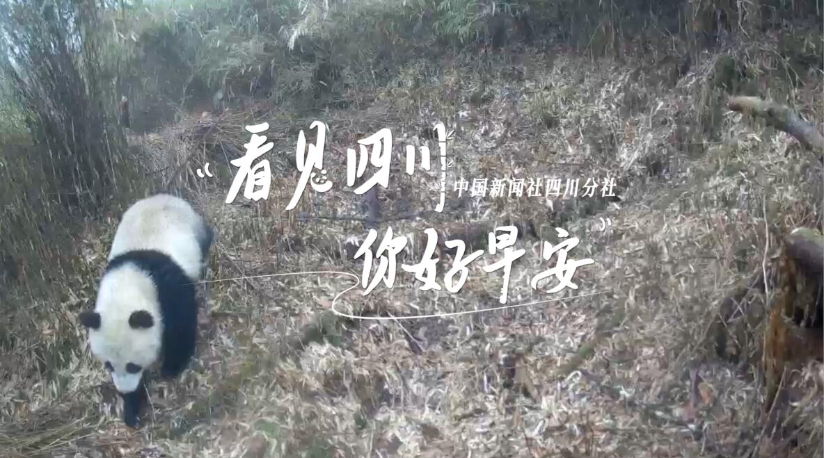 初春时节