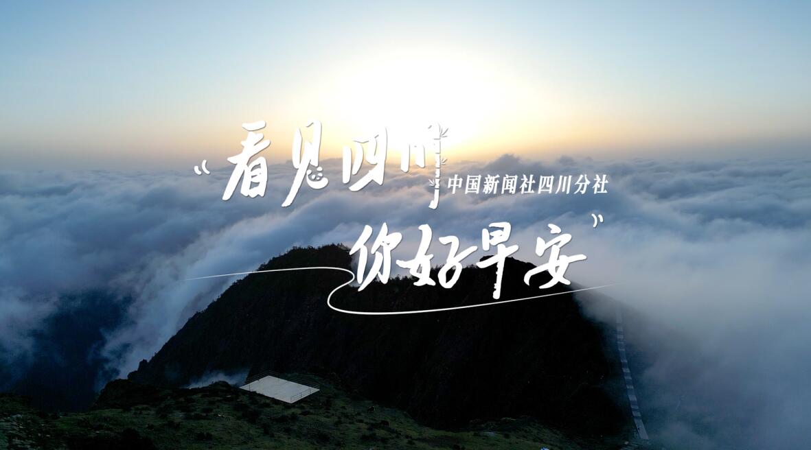 看见盈盈彩app下载限时优惠