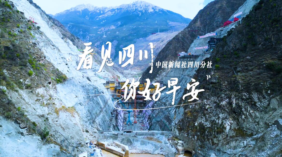 相关阅读看见盈盈彩app下载限时优惠