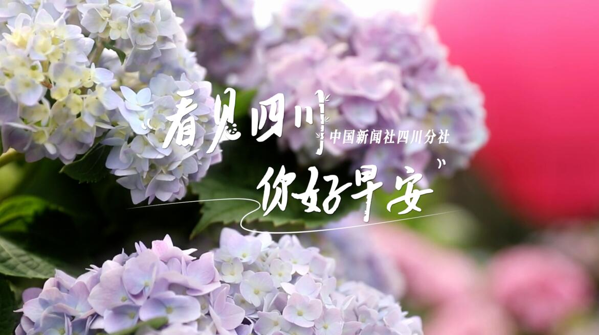 解说春日暖意渐浓