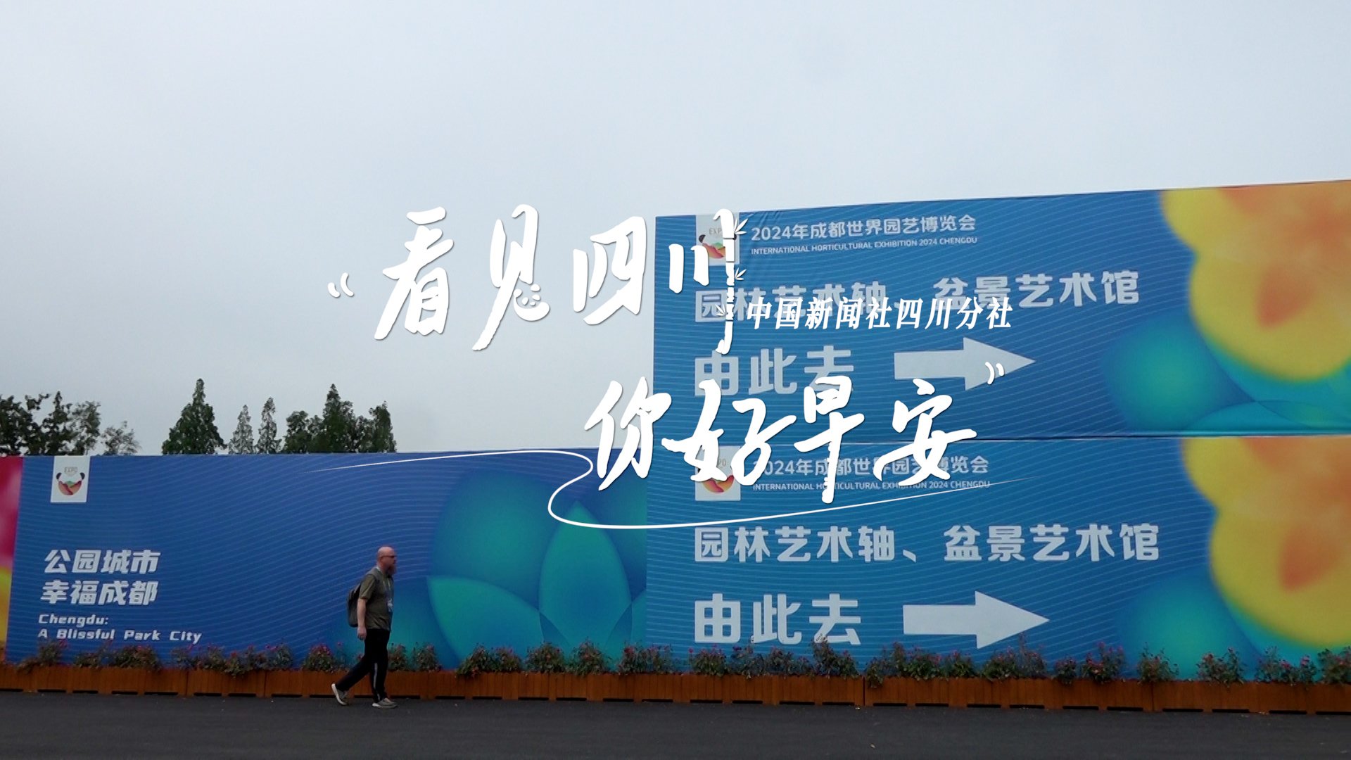 毛茸茸的