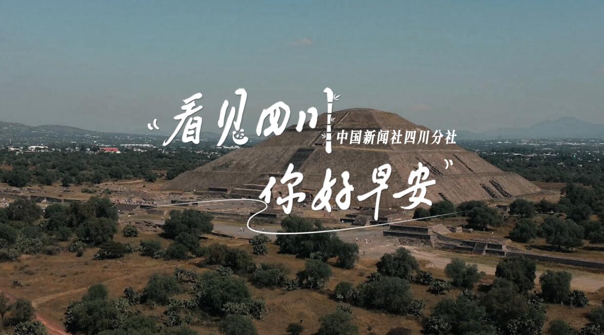 列车与盛放的油菜花构成一幅灵动的春日
