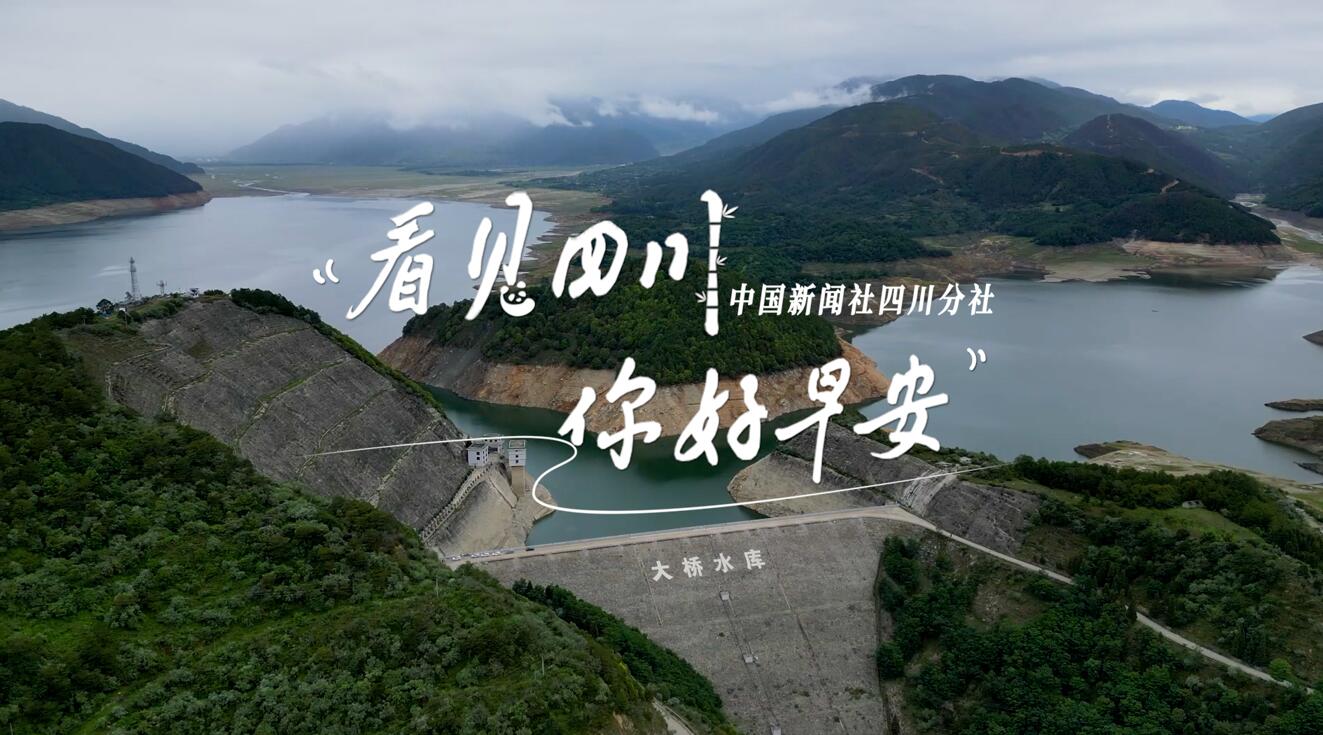解说你看