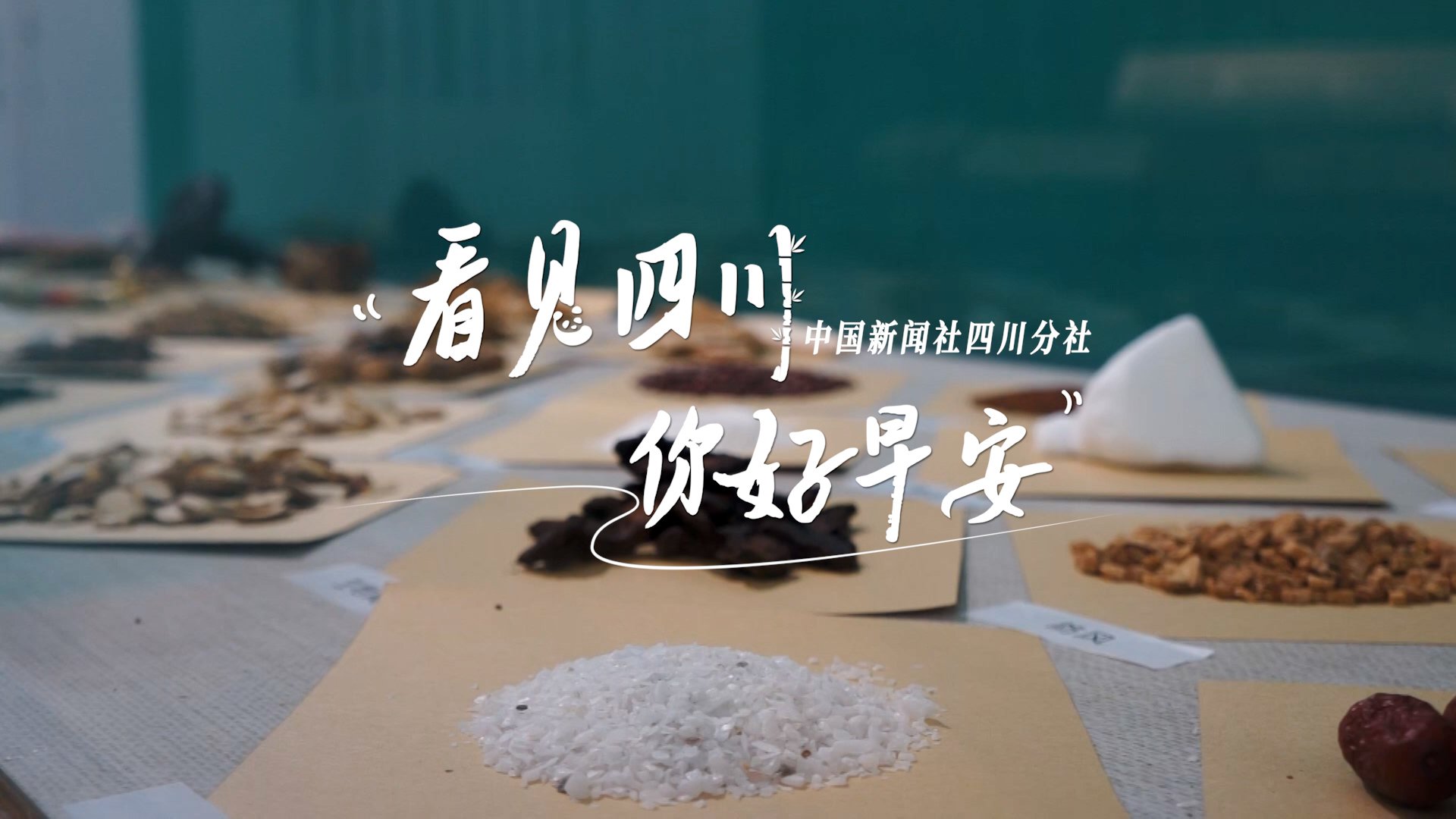 盈盈彩app官网
