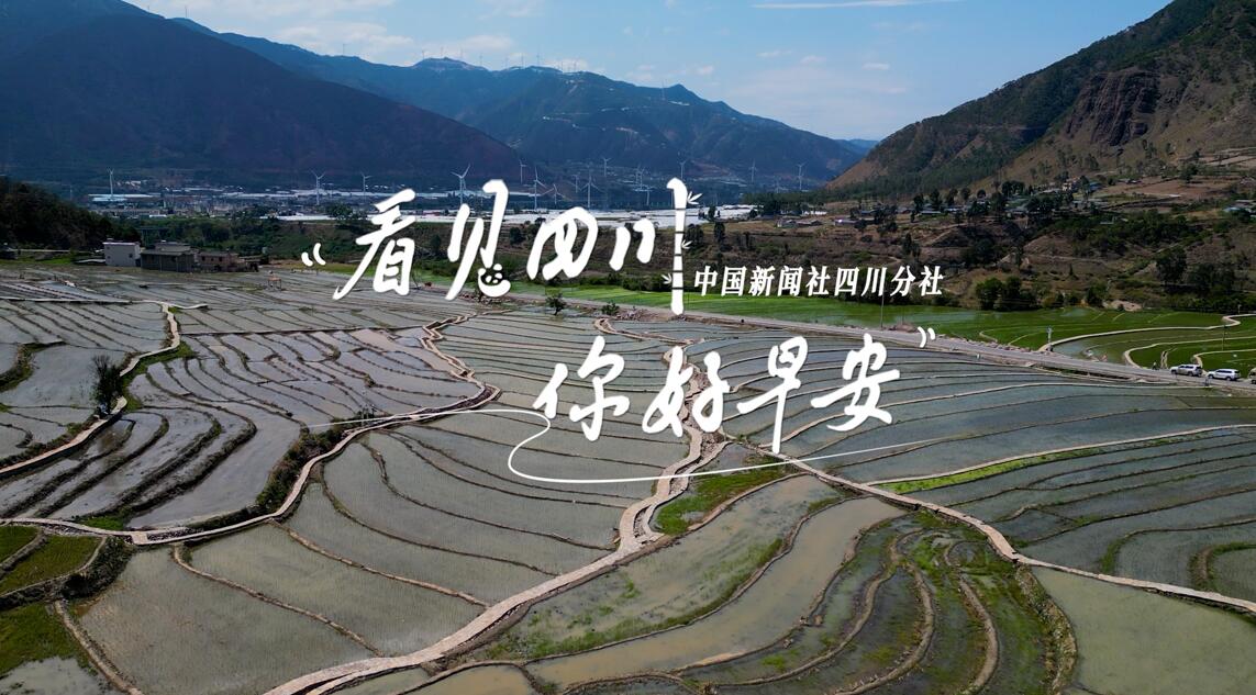 初春时节