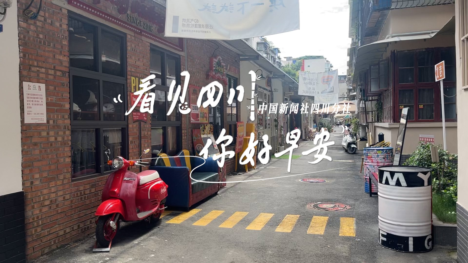 洁白的花朵缀满枝头