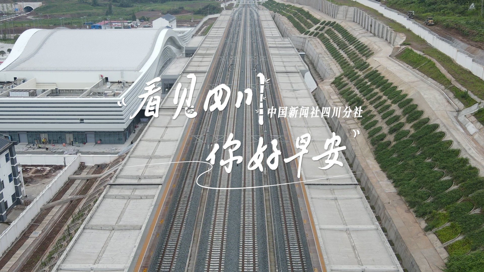 看见盈盈彩app下载限时优惠