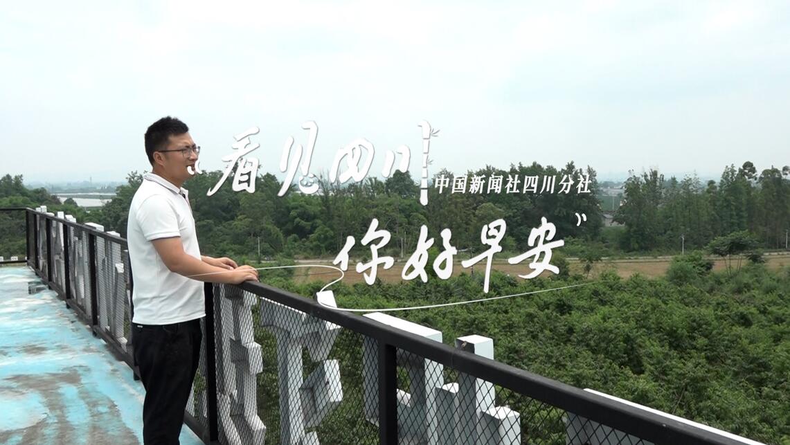一串串花朵如风铃般相依相偎
