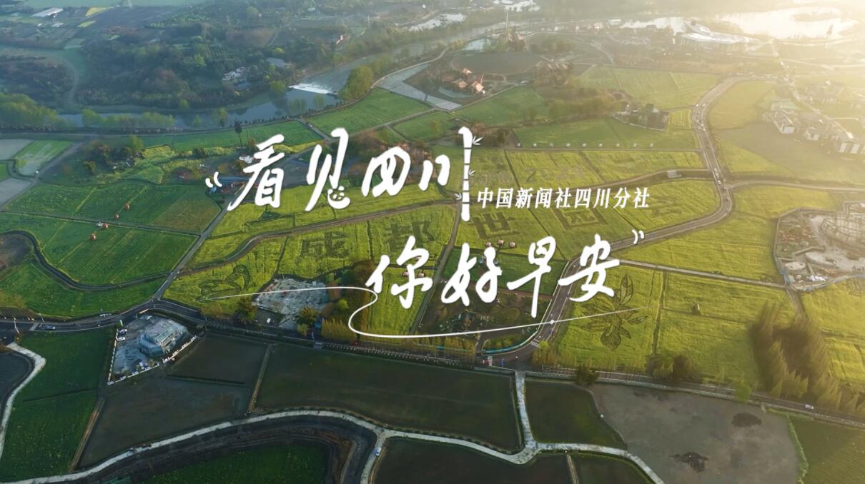 粉白花朵绽放在古寺院落