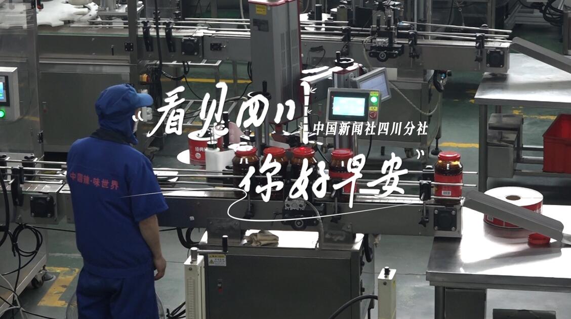 毛茸茸的