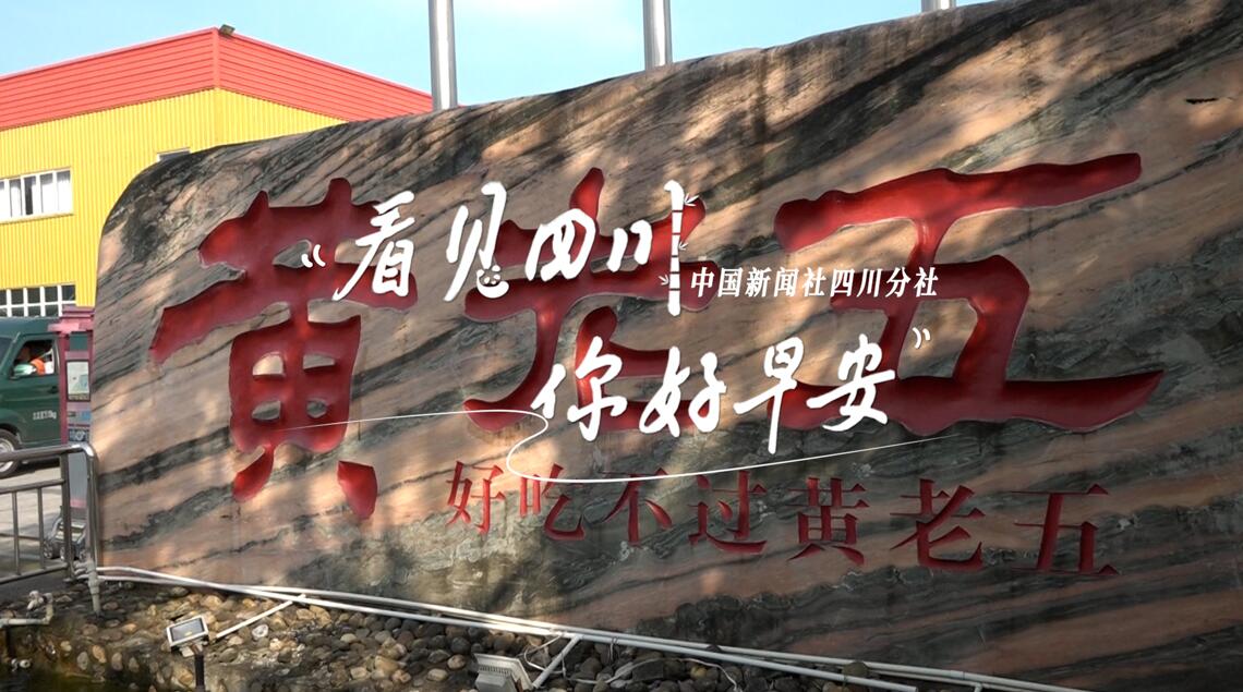 列车与盛放的油菜花构成一幅灵动的春日