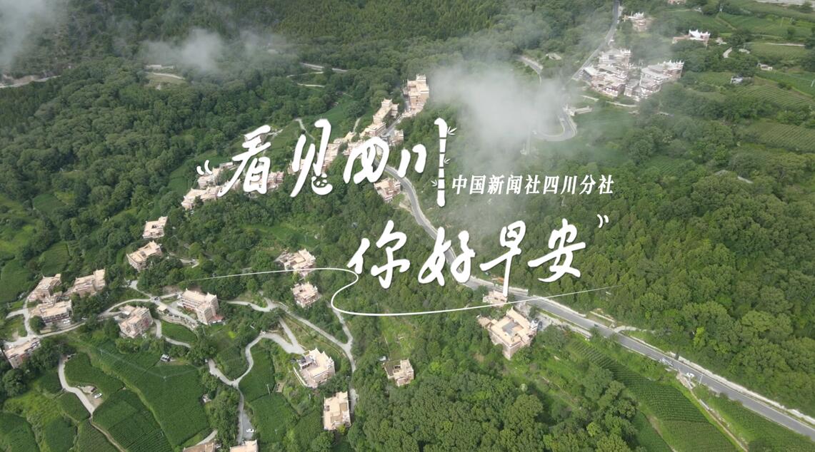 解说你看